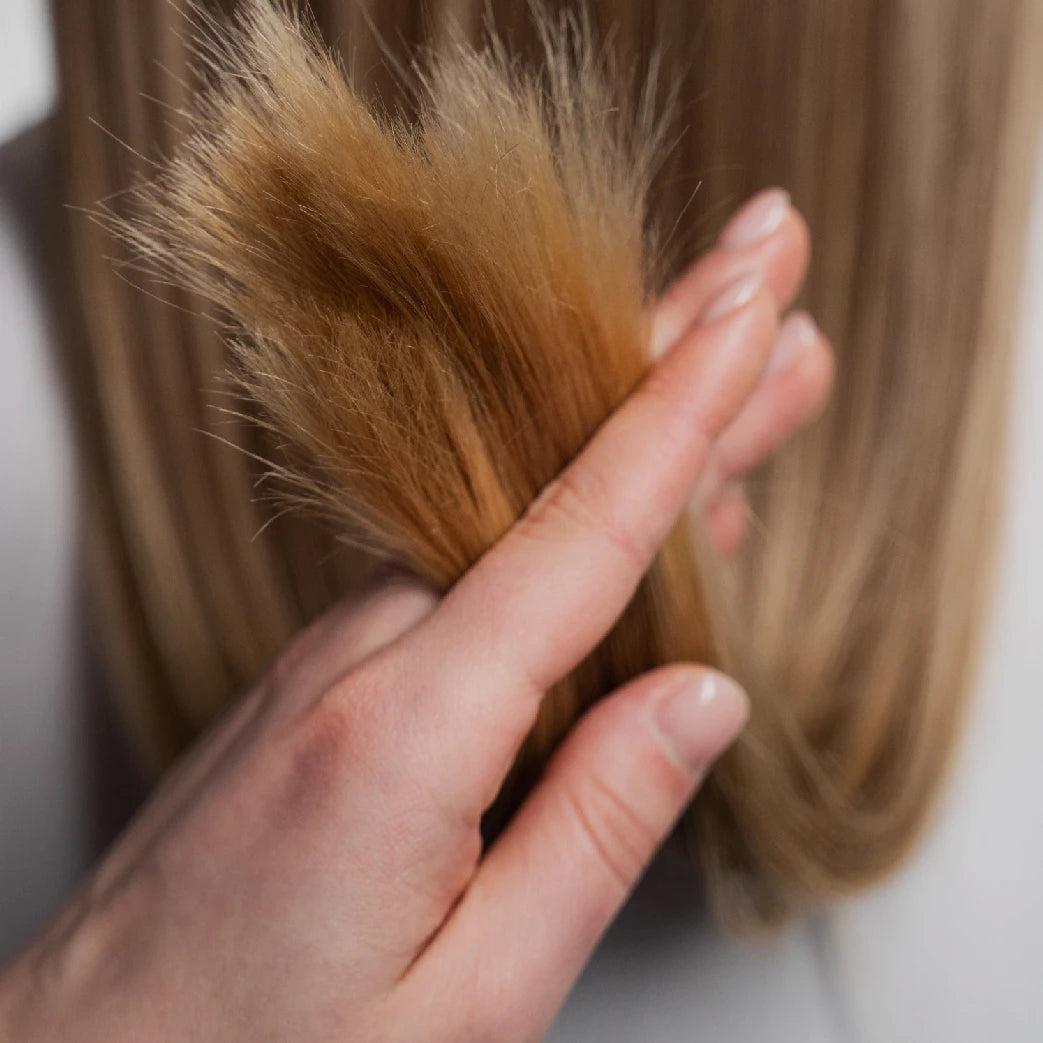 Repara las puntas partidas